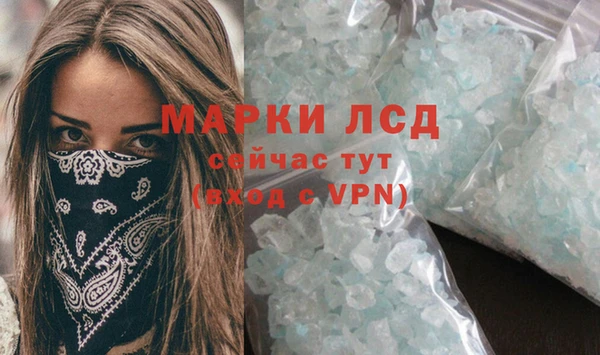 прущие грибы Ростов