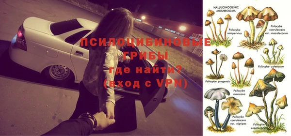 стафф Армянск